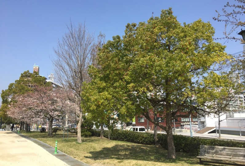 相続・遺言・後見サポートセンター